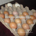 Colorful Chicken Duck Egg Cartons For Sale